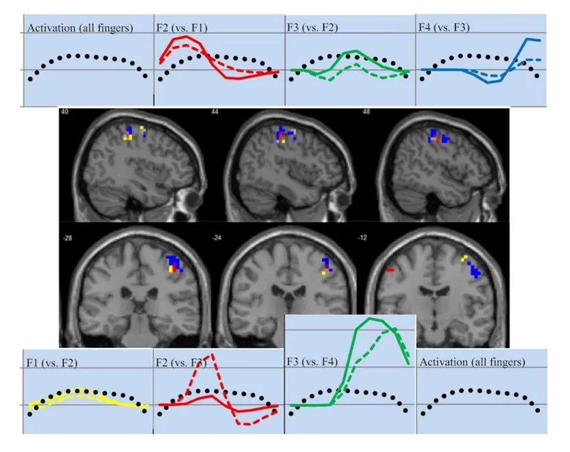 Hippocampal Connectivity II: Spatial and Temporal Selectivity